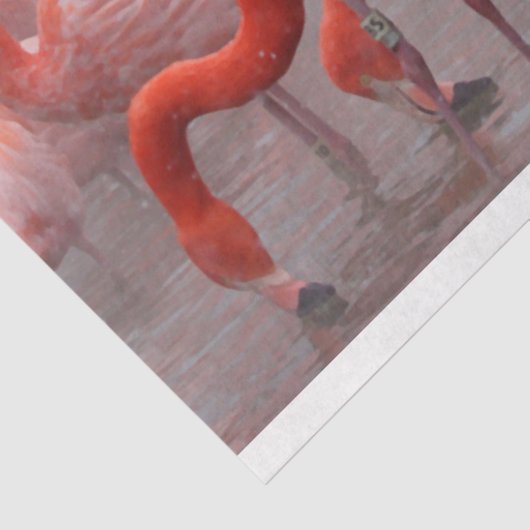 Flamingos in der Schneegenetze Seidenpapier (Ausschnitt)