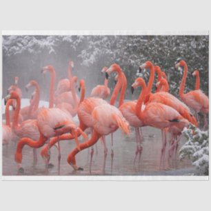 Flamingos in der Schneegenetze Seidenpapier