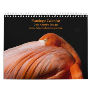 Flamingos in Florida 2026 Kalender