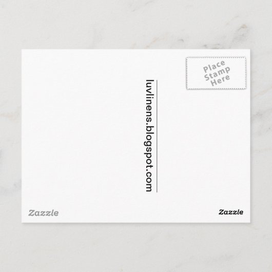 Flamingos in Florida Postkarte (Rückseite)