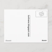 Flamingos in Florida Postkarte (Rückseite)