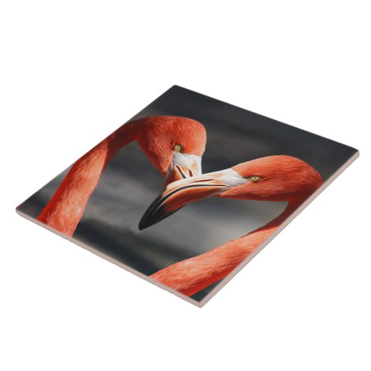 Flamingos in Liebe Fliese (Seite)