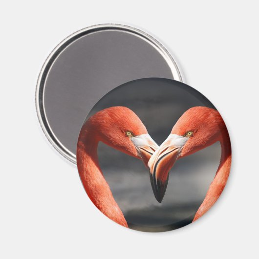 Flamingos in Liebe Magnet (Vorderseite/Rückseite)