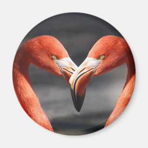 Flamingos in Liebe Magnet