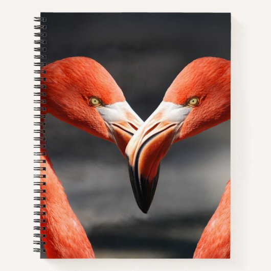 Flamingos in Liebe Notizblock (Vorderseite)