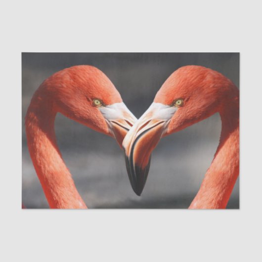 Flamingos in Liebe Seidenpapier (Vorderseite)