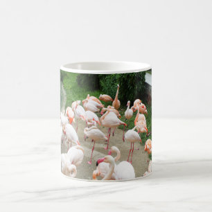 Flamingos Kaffeetasse