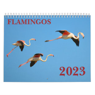 Flamingos Kalender