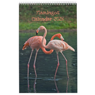 Flamingos-Kalender 2025 Kalender