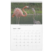 Flamingos-Kalender Kalender (Mär 2027)