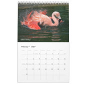 Flamingos-Kalender Kalender (Feb 2027)