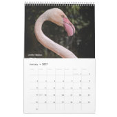 Flamingos-Kalender Kalender (Jan 2027)