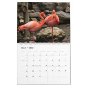 Flamingos-Kalender Kalender (Mär 2026)