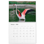 Flamingos-Kalender Kalender (Feb 2026)