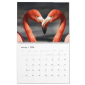 Flamingos-Kalender Kalender (Jan 2026)