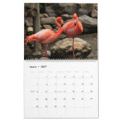 Flamingos-Kalender Kalender (Mär 2027)