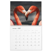Flamingos-Kalender Kalender (Jan 2027)
