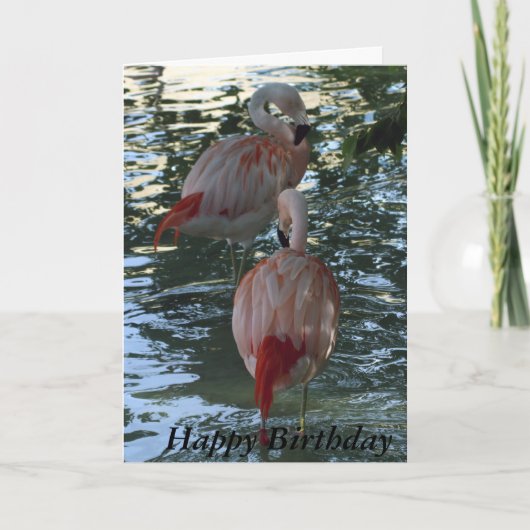 Flamingos Karte (Vorderseite)
