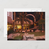 Flamingos, Las Vegas Postcard Postkarte (Vorne/Hinten)