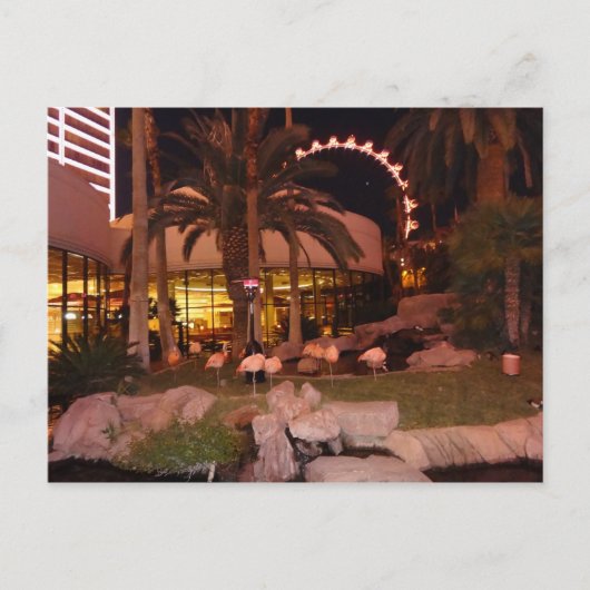 Flamingos, Las Vegas Postcard Postkarte (Vorderseite)