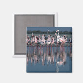 Flamingos Magnet (Vorderseite/Rückseite)