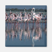Flamingos Magnet (Vorne)