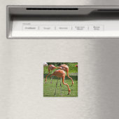 Flamingos Magnet (In Situ (Geschirrspüler))