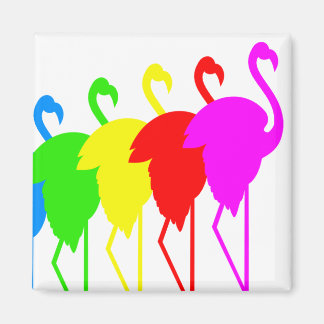 Flamingos Magnet