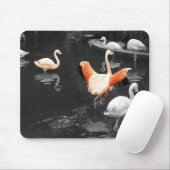 Flamingos Mousepad (Mit Mouse)