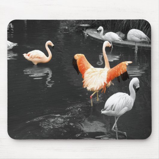Flamingos Mousepad (Vorne)