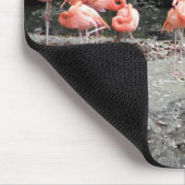 Flamingos Mousepad (Ecke)