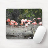 Flamingos Mousepad (Mit Mouse)