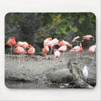 Flamingos Mousepad