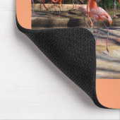 Flamingos Mousepad (Ecke)