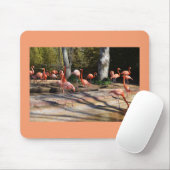 Flamingos Mousepad (Mit Mouse)
