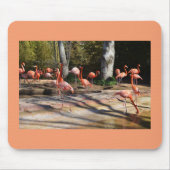 Flamingos Mousepad (Vorne)