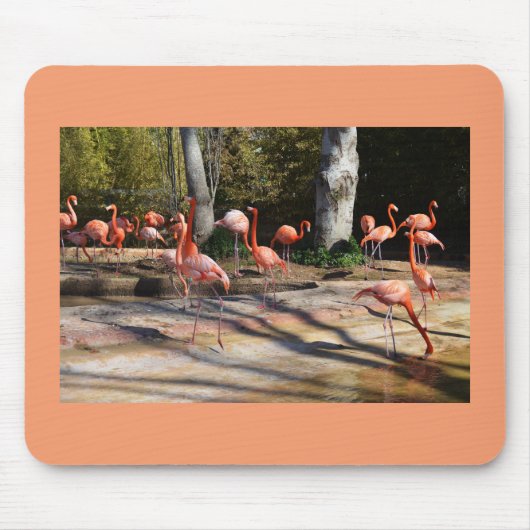 Flamingos Mousepad (Vorne)