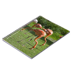 Flamingos Notizbuch Notizblock