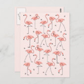 Flamingos Pink Postkarte (Vorne/Hinten)