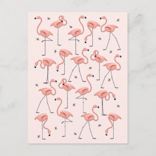 Flamingos Pink Postkarte