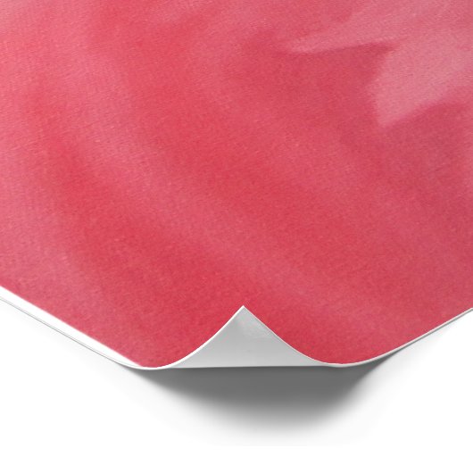 Flamingos Poster (Ecke)