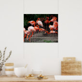Flamingos Poster (Küche)