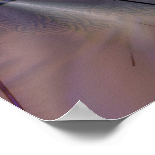 Flamingos Poster (Ecke)