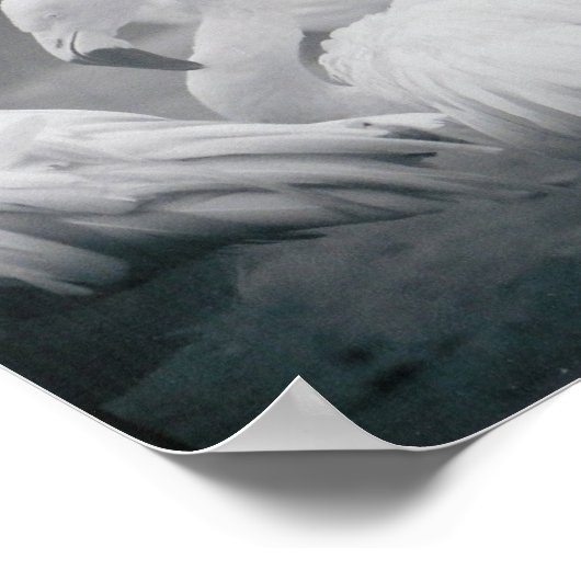 Flamingos Poster (Ecke)