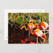 Flamingos Postkarte (Vorne/Hinten)