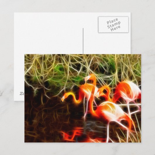 Flamingos Postkarte (Vorne/Hinten)