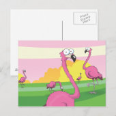 Flamingos Postkarte (Vorne/Hinten)