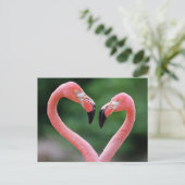 Flamingos Postkarte (Stehend Vorderseite)
