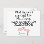Flamingos Postkarte (Vorne/Hinten)