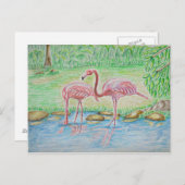 Flamingos Postkarte (Vorne/Hinten)